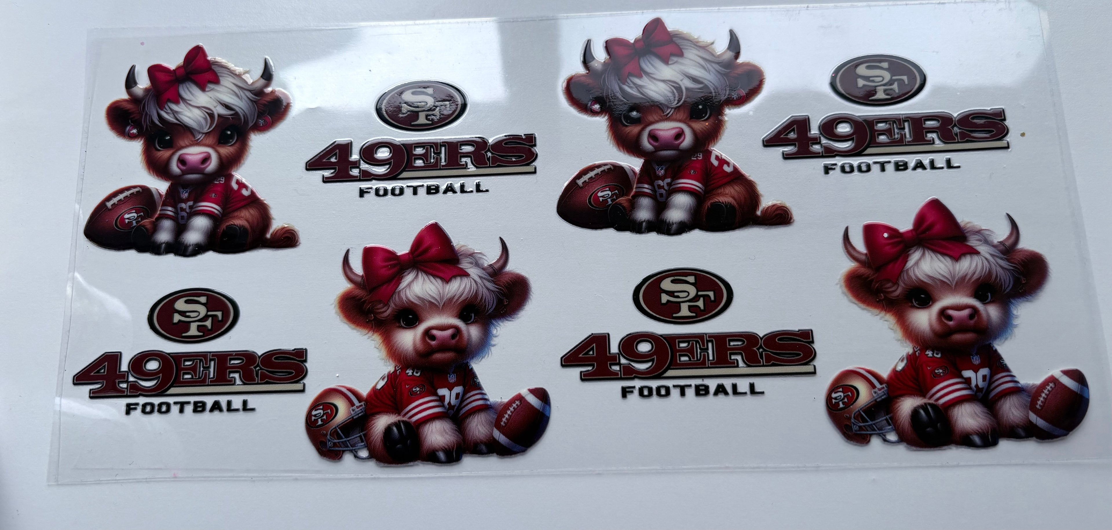 49ers highland cow