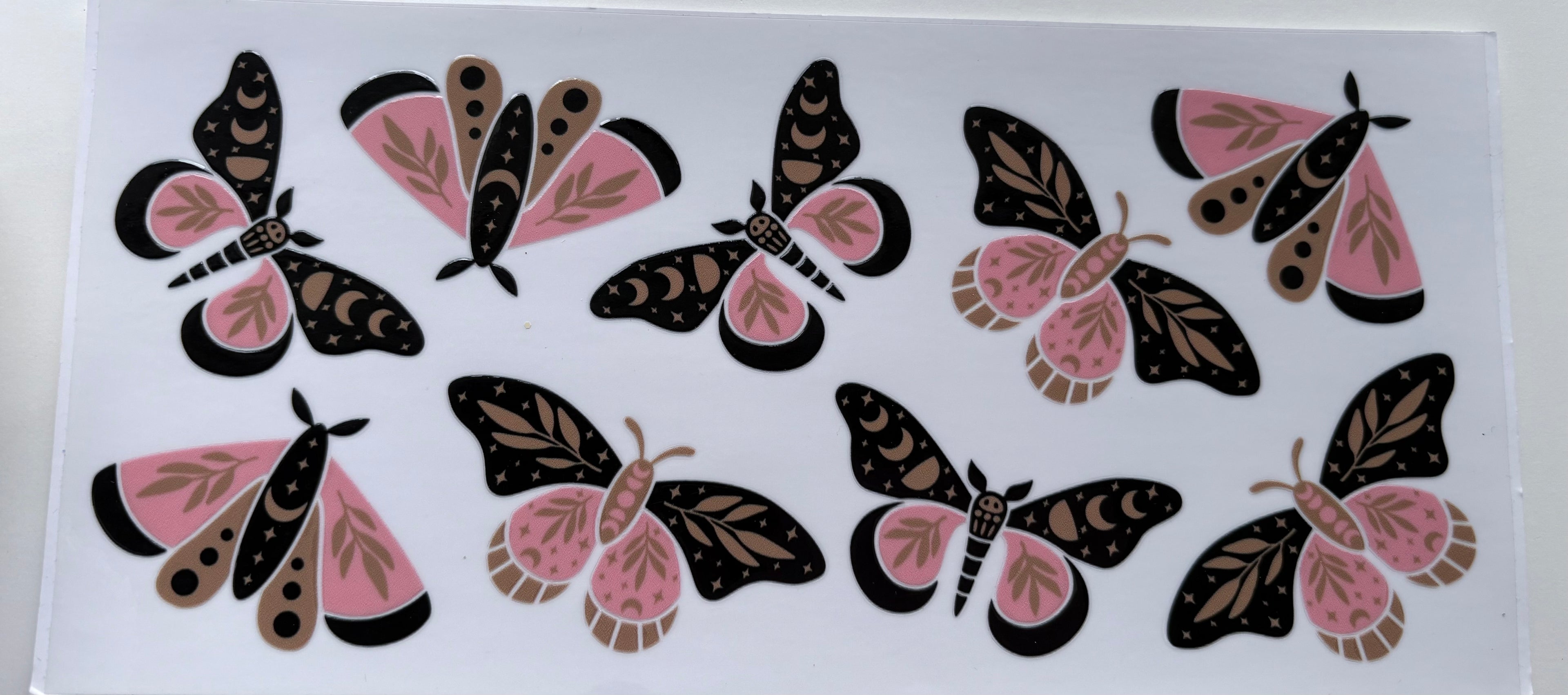 Pink & Black Butterfly