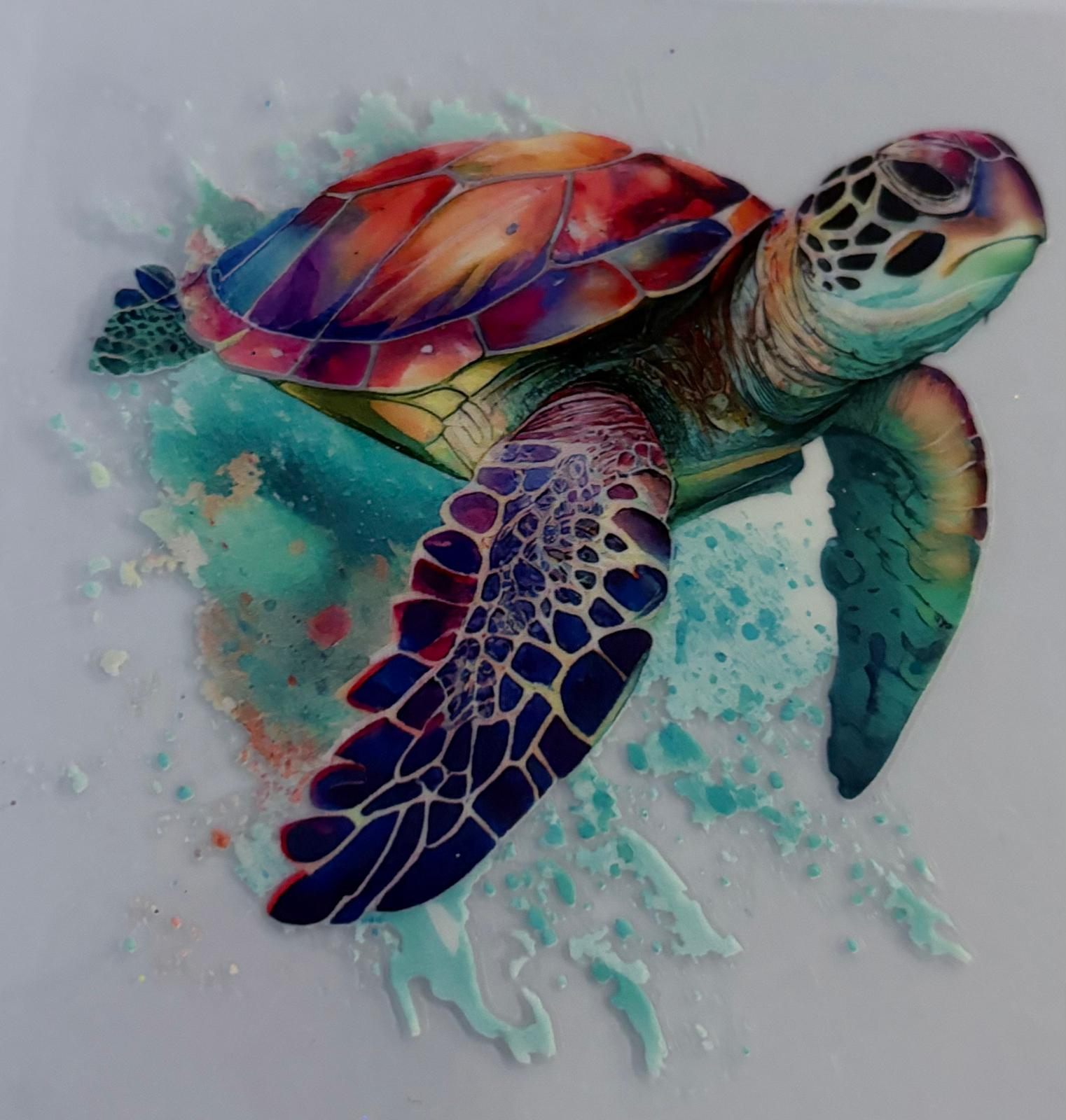 Sea Turtle
