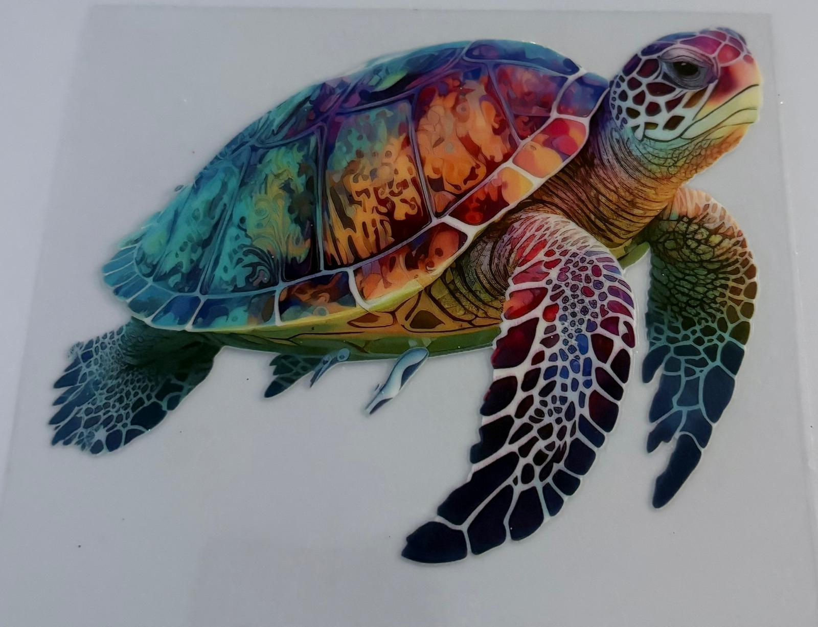Sea Turtle