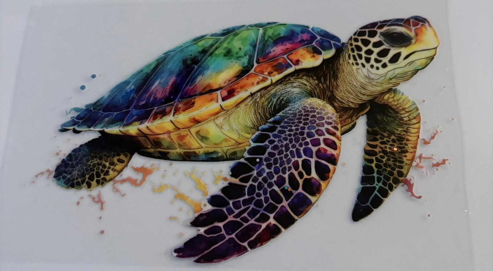 Sea Turtle